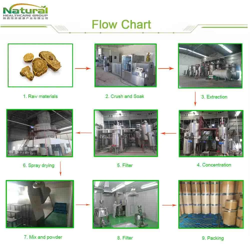 Flow chart2 Flow chart2