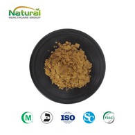 بیکوپا مونیری ایکسٹریکٹ پاؤڈر