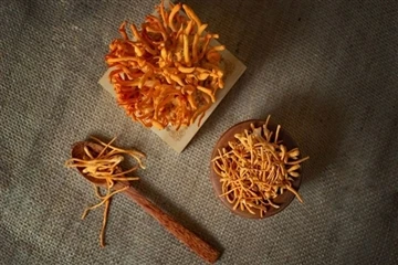 Cordyceps Militaris Cordycepin کے 4 درخواست کے امکانات