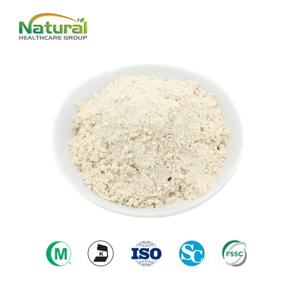 Poria Mycelium پاؤڈر